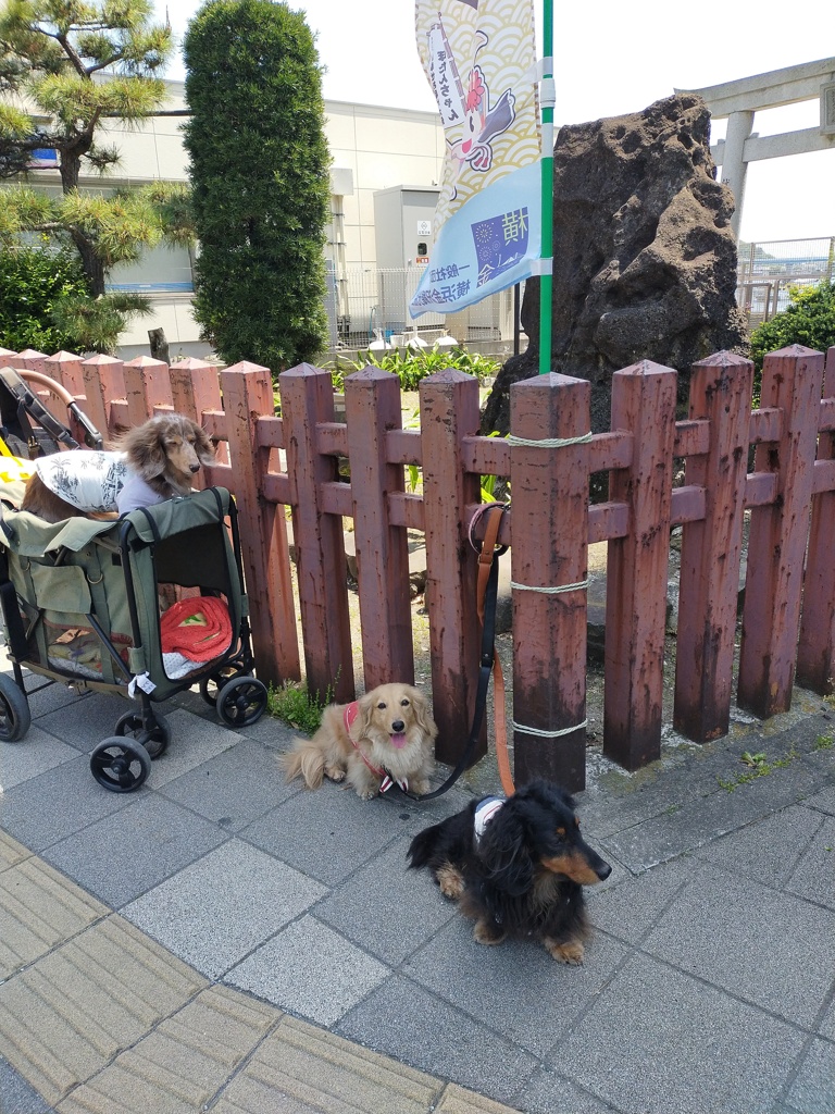 枇杷島神社金沢八景