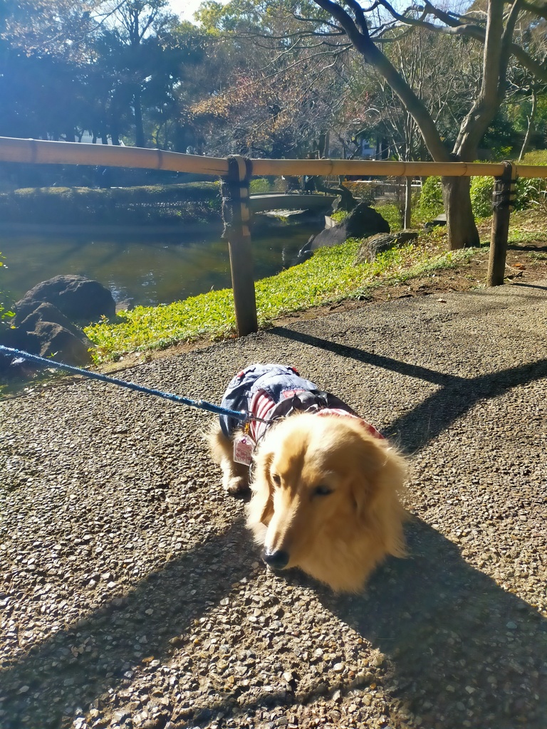 横浜スタジアム公園