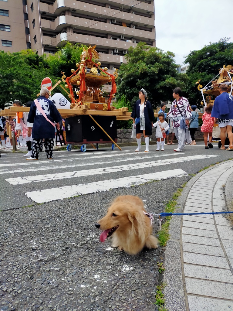 お祭り神輿