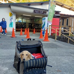 大山ケーブル駅