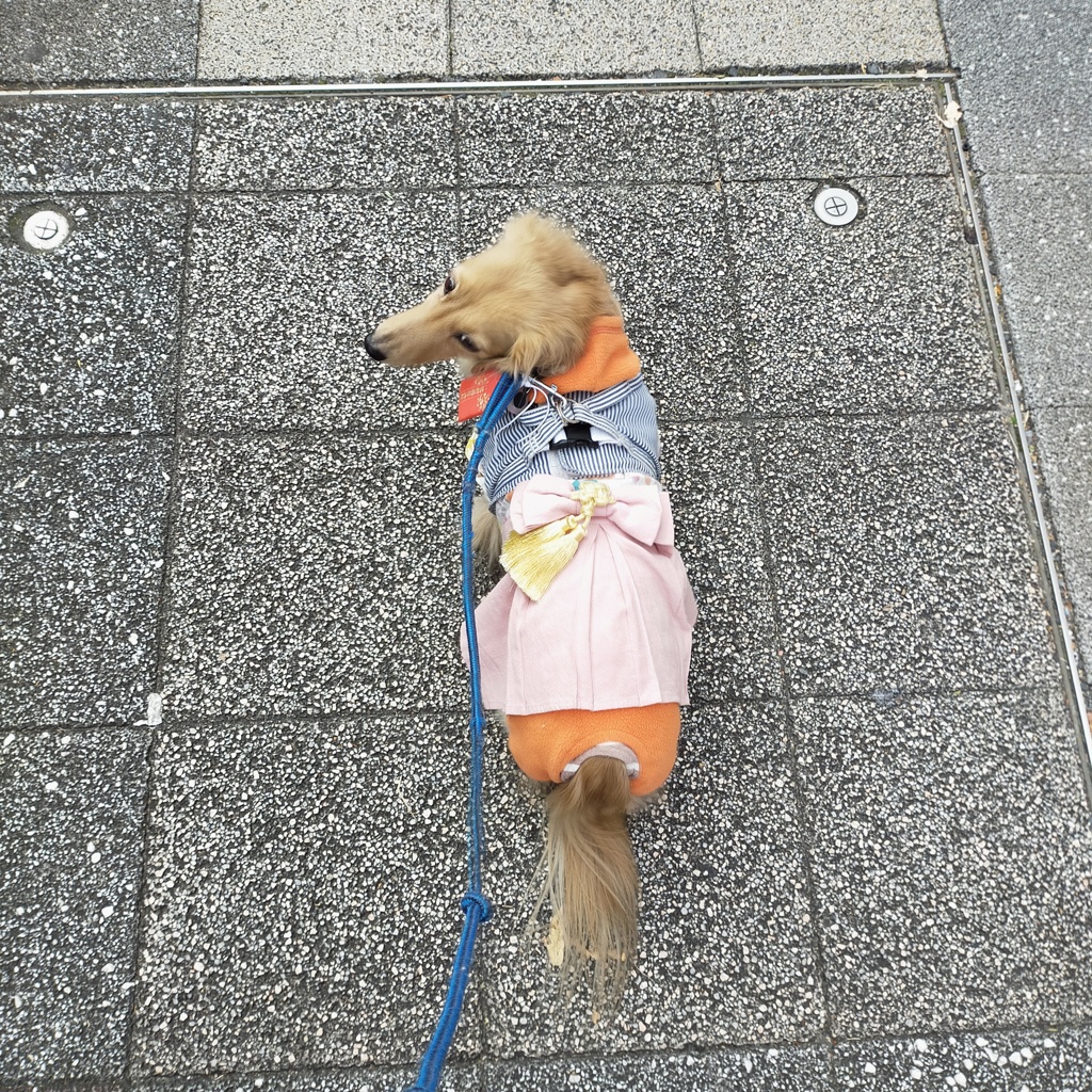 2025年　初散歩