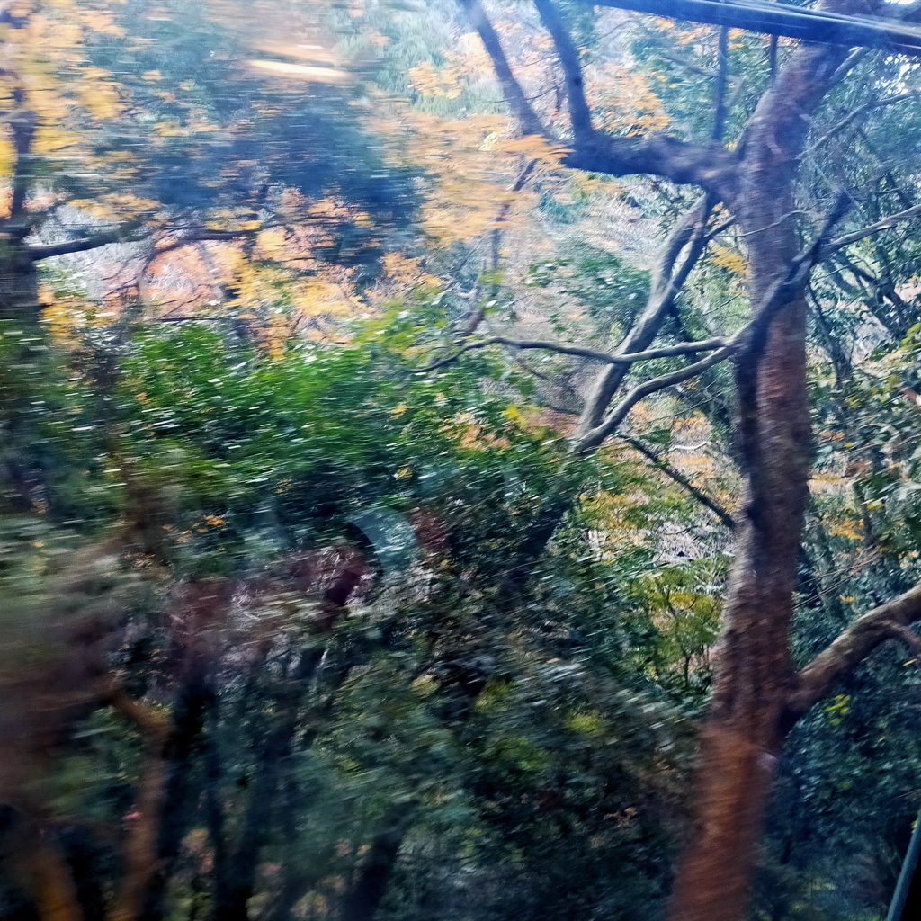 ケーブルカーからの景色