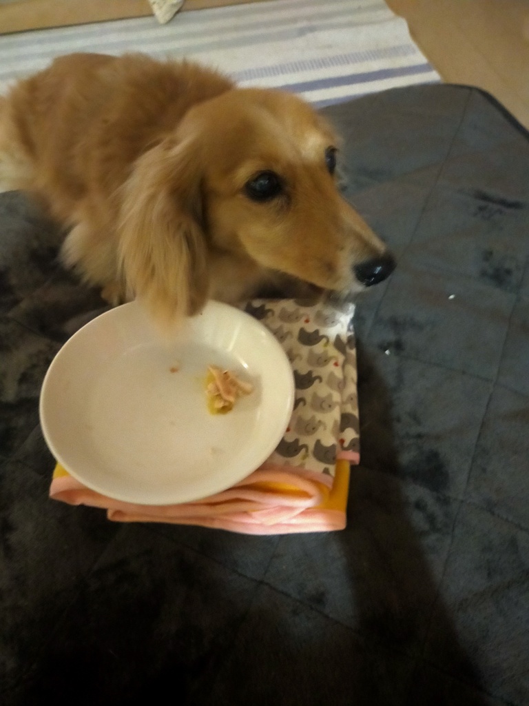 ササミのオーブン焼き3本食べちゃった