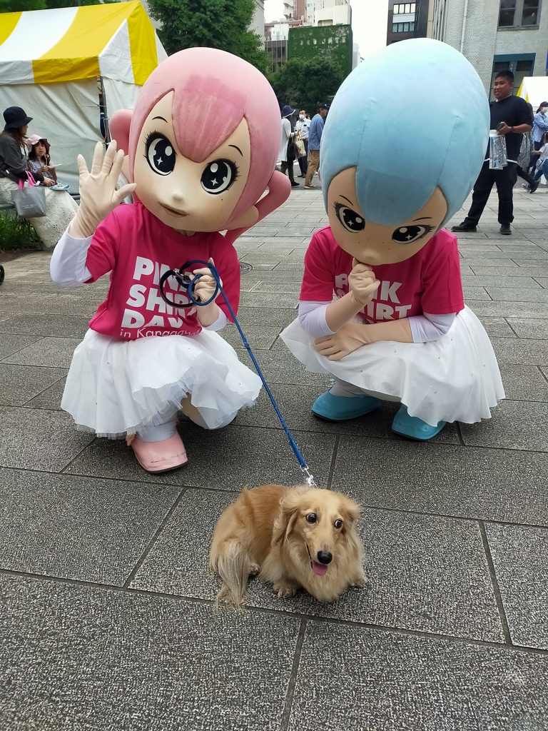 そろそろ戻るね