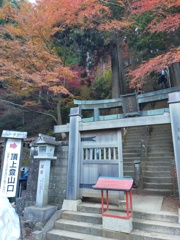 ここから山頂に登る階段入口