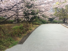 浜町公園