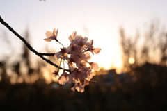 20170413175658_IMG_9623_1