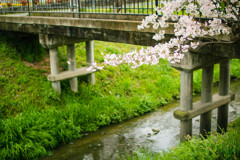 川