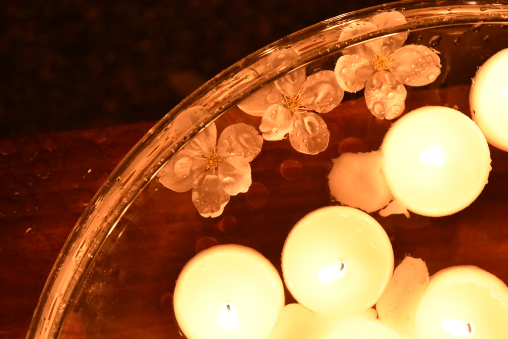 桜と雨とfloating candle