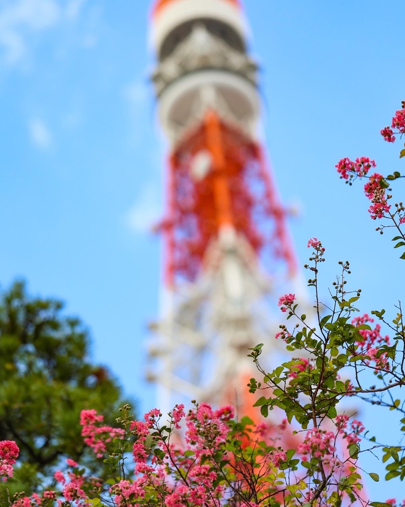 東京タワー