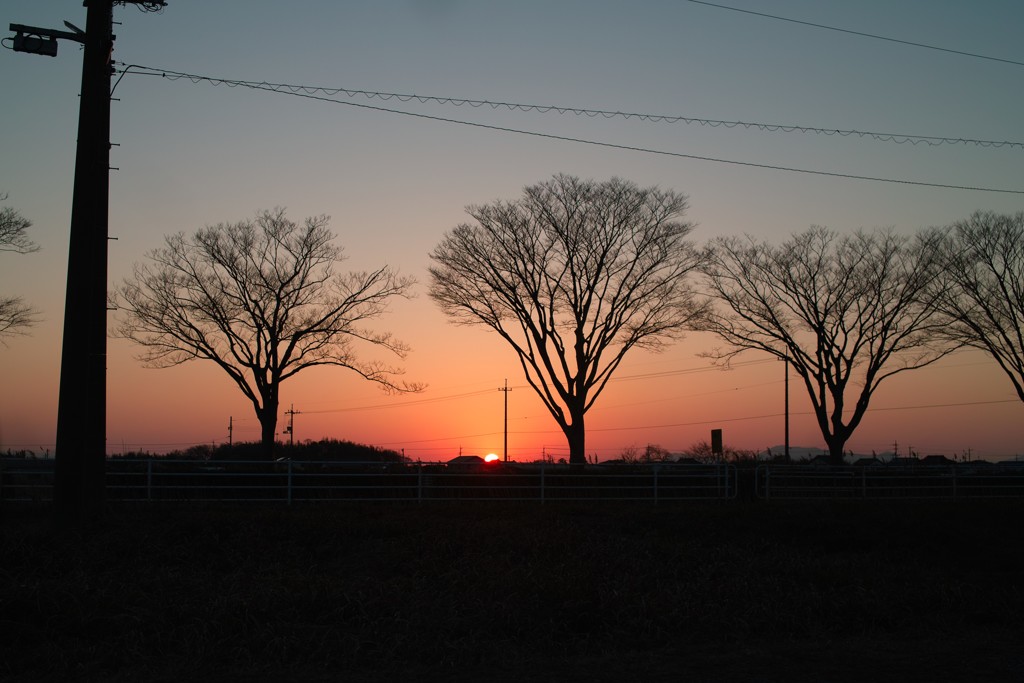 夕日