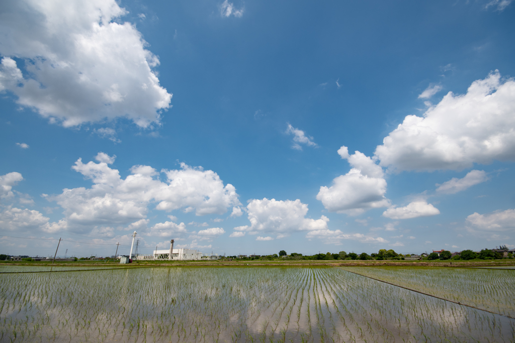 夏空