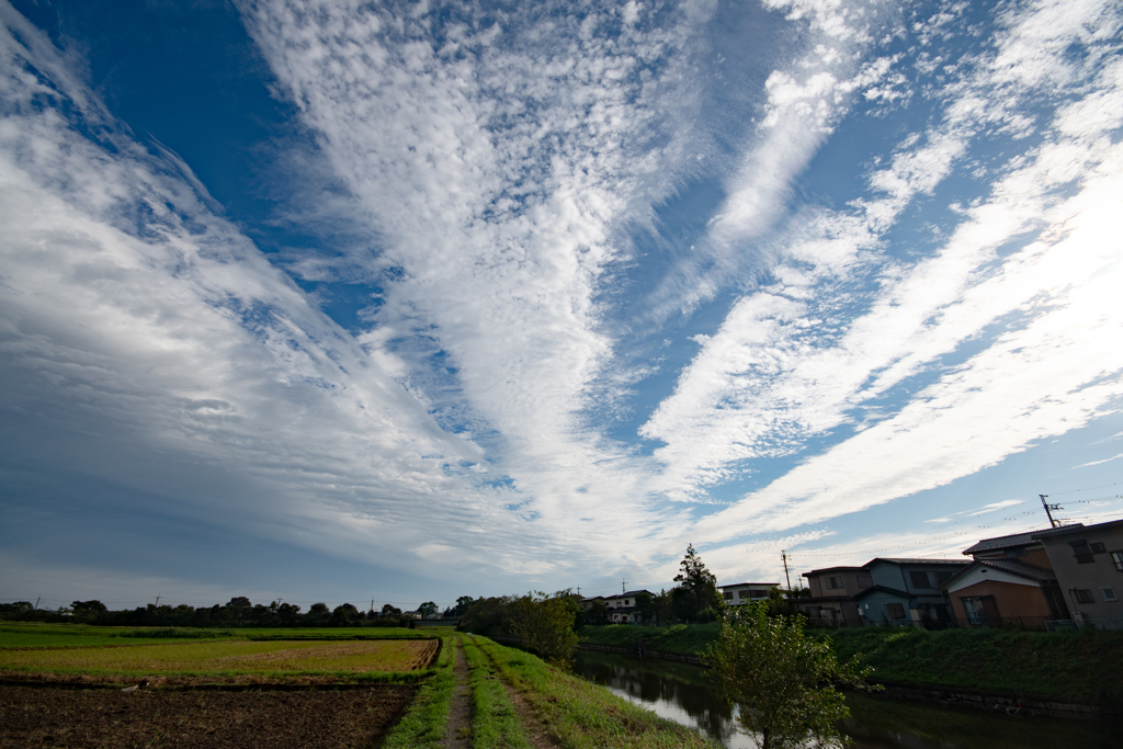 今朝の空