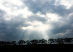 今日の空１