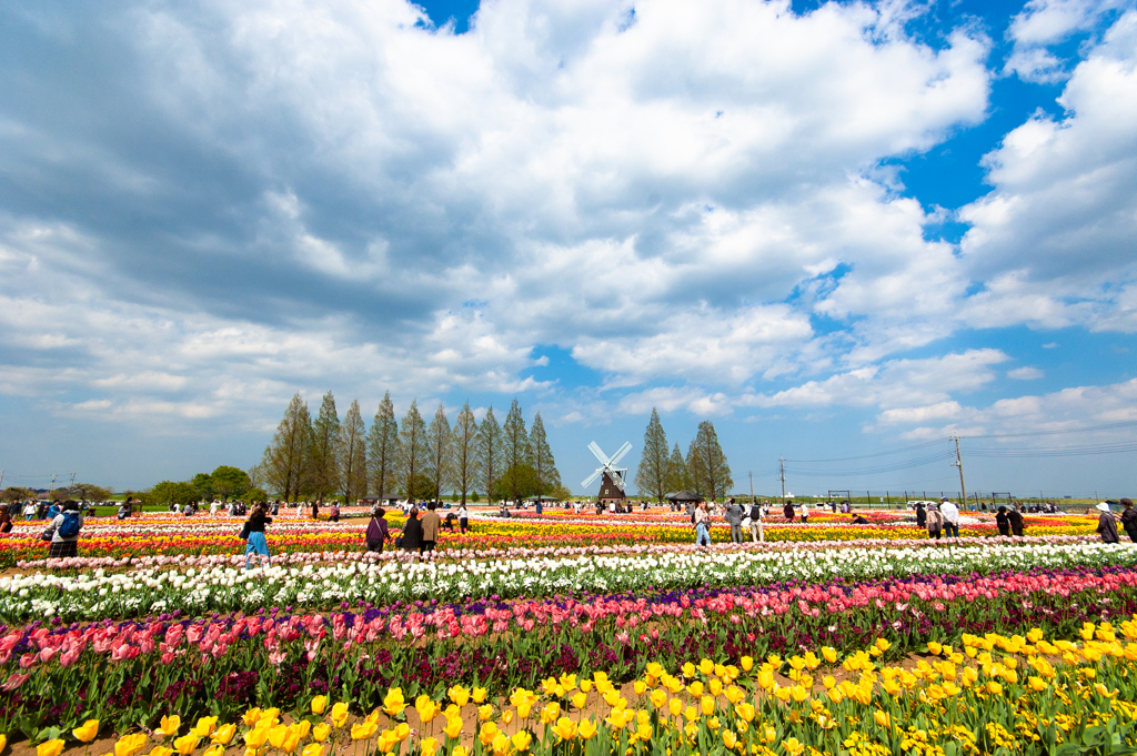 あけぼの山農業公園３