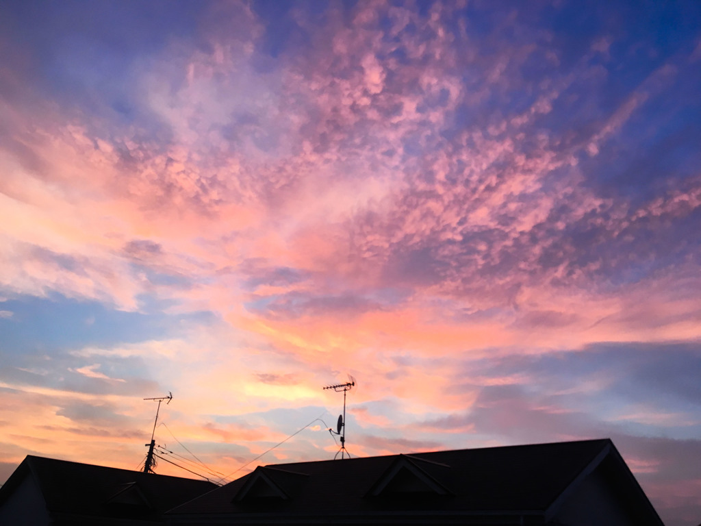 昨日の夕焼け