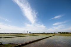 田植え終わる１