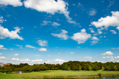 公園と青空