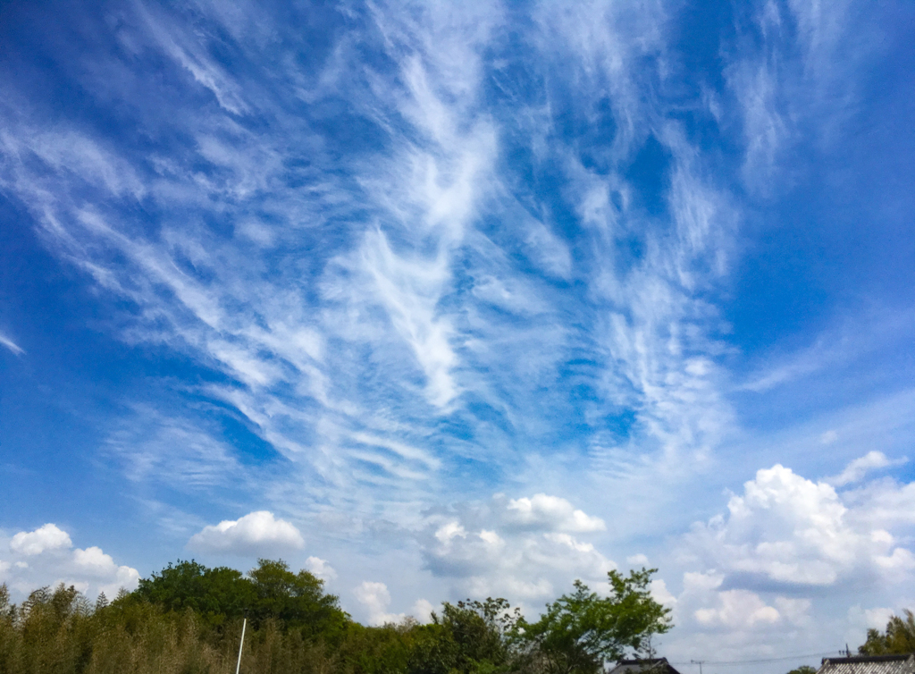 今日の空