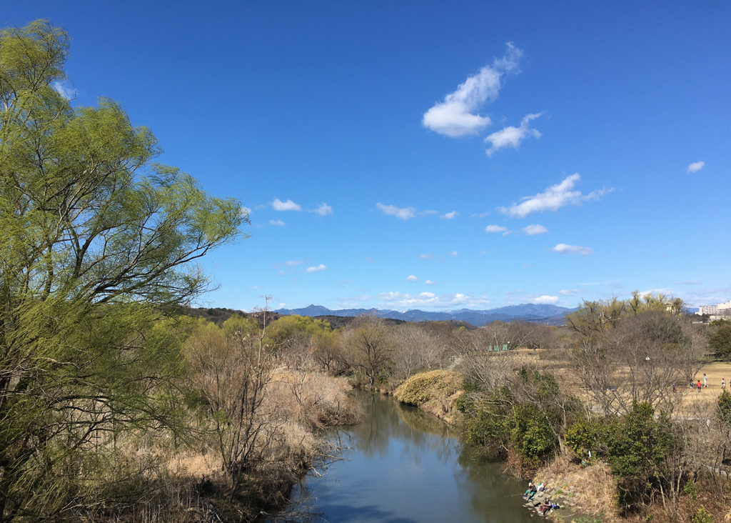 多摩川の支流