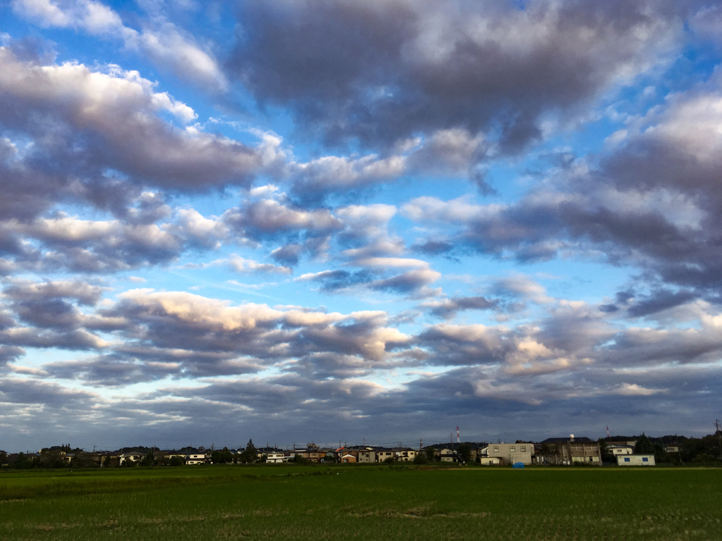 稲刈り後の空