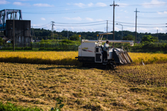 稲刈りバリバリ