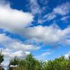 久しぶりの青空
