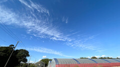 今日の空