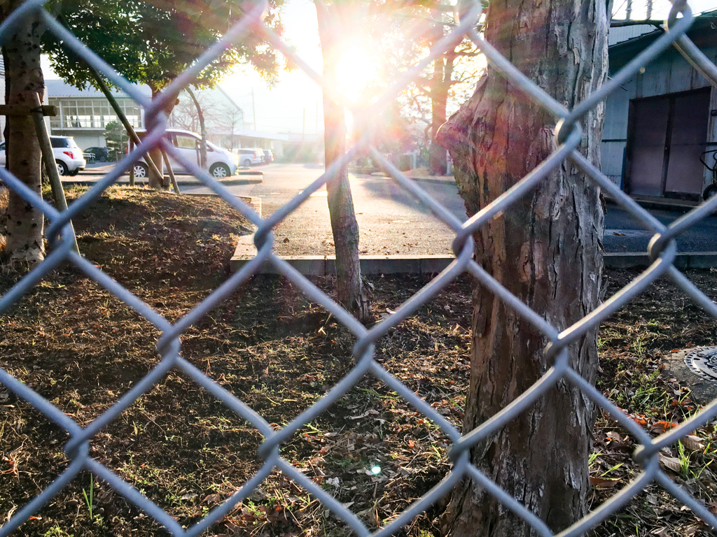 フェンス越しの夕日