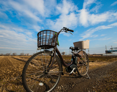 自転車