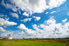 田んぼと空