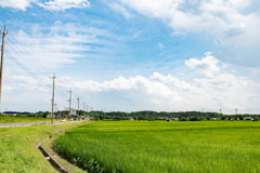 夏の空