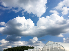 今日の空