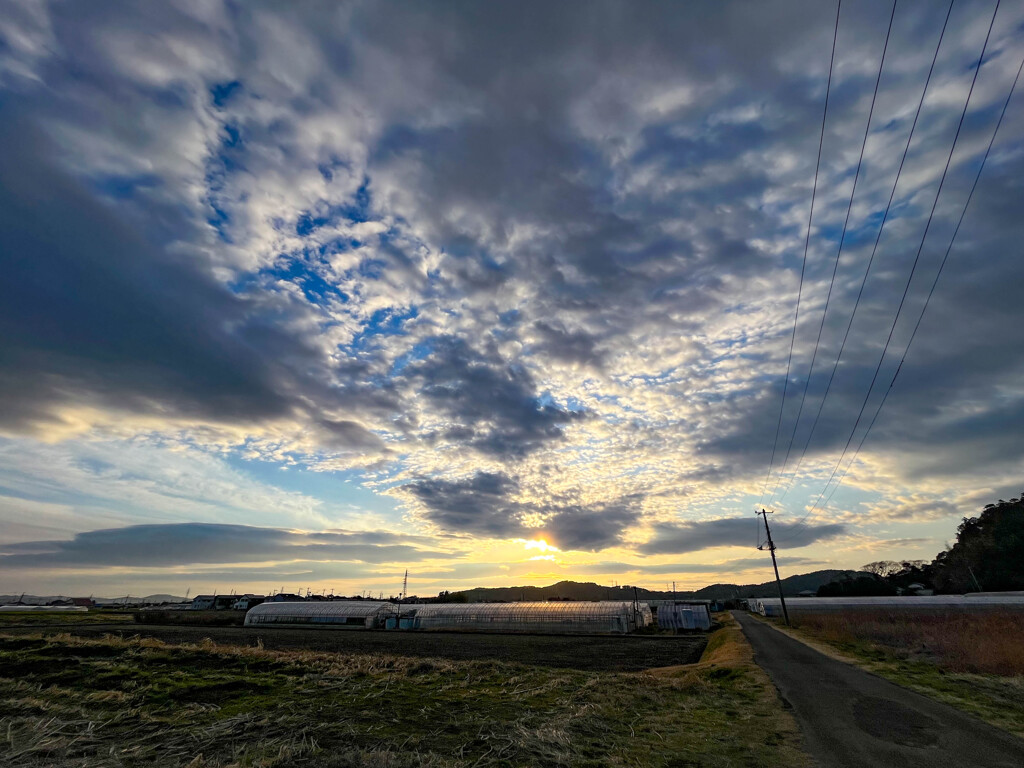 今日の夕景