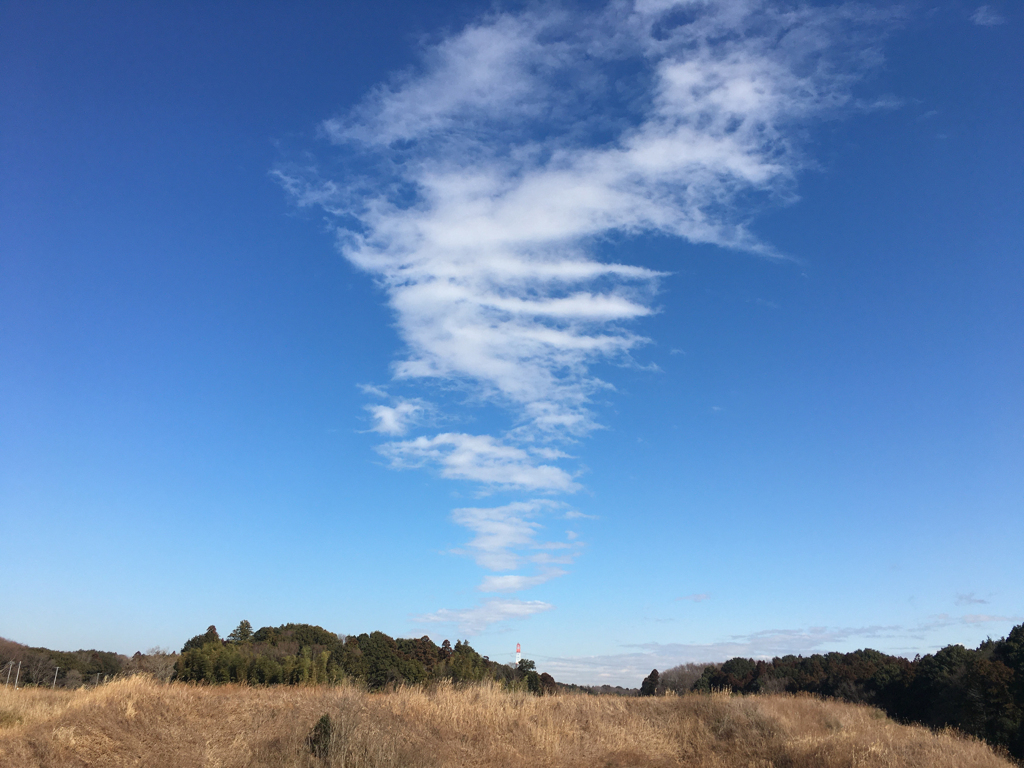 昨日の空