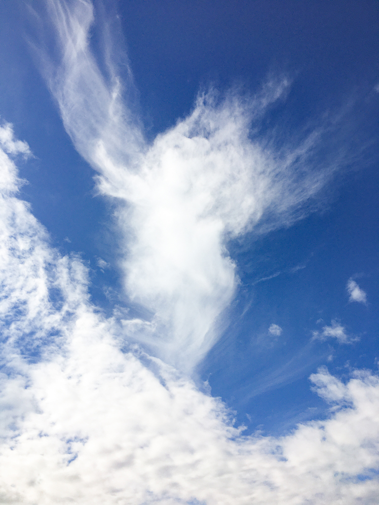 今日の空