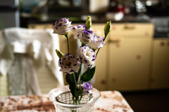 トルコキキョウのある部屋