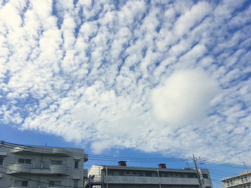 通勤途中