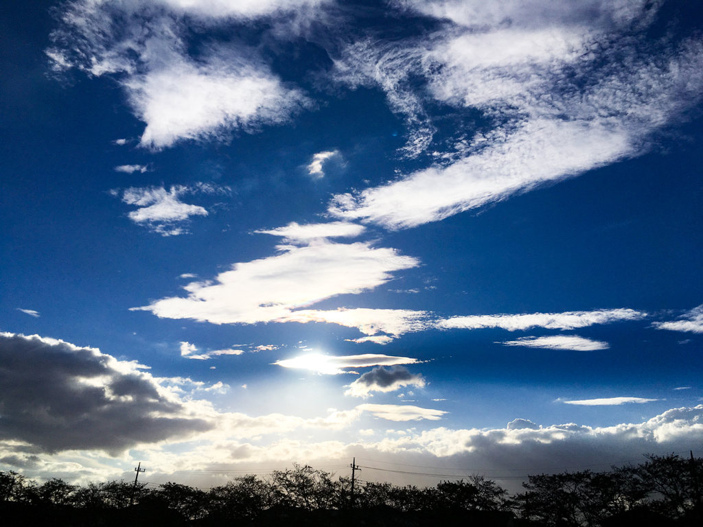 今日もいい天気