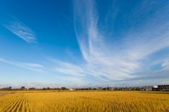 昨日の空