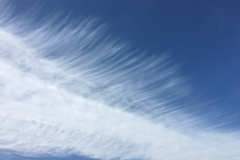 今日の空