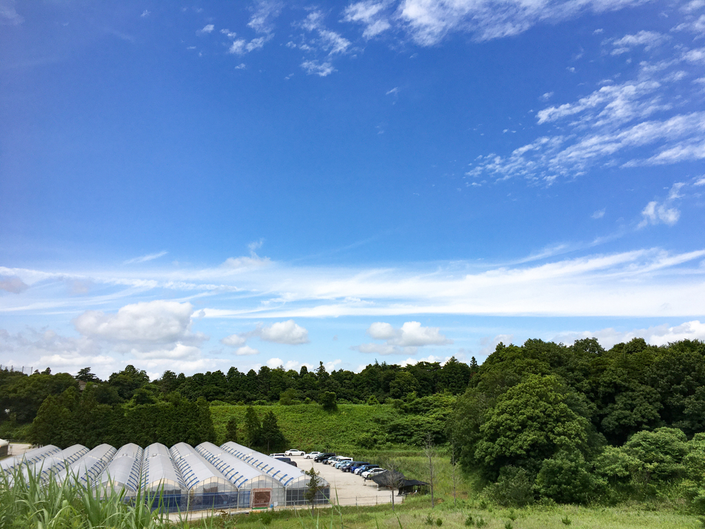 昨日の空