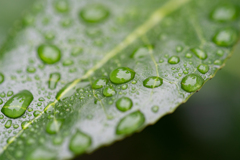 水滴