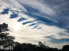 今日の空