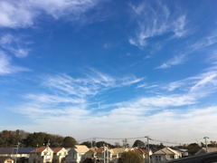 久しぶりの雲