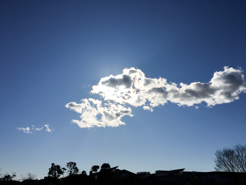 今日はいい天気