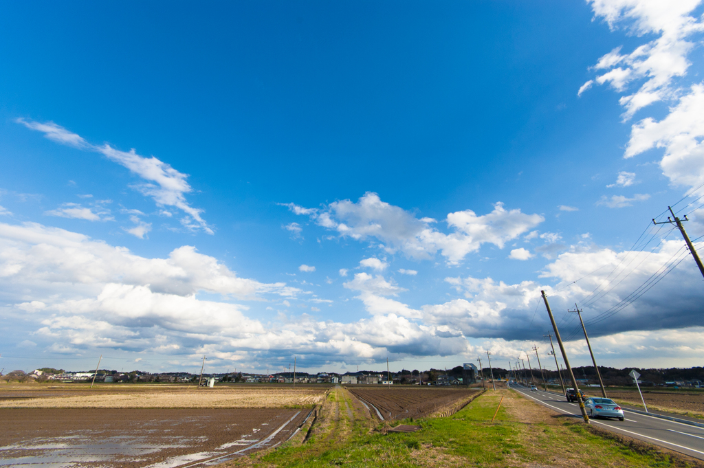 田んぼと道路と空