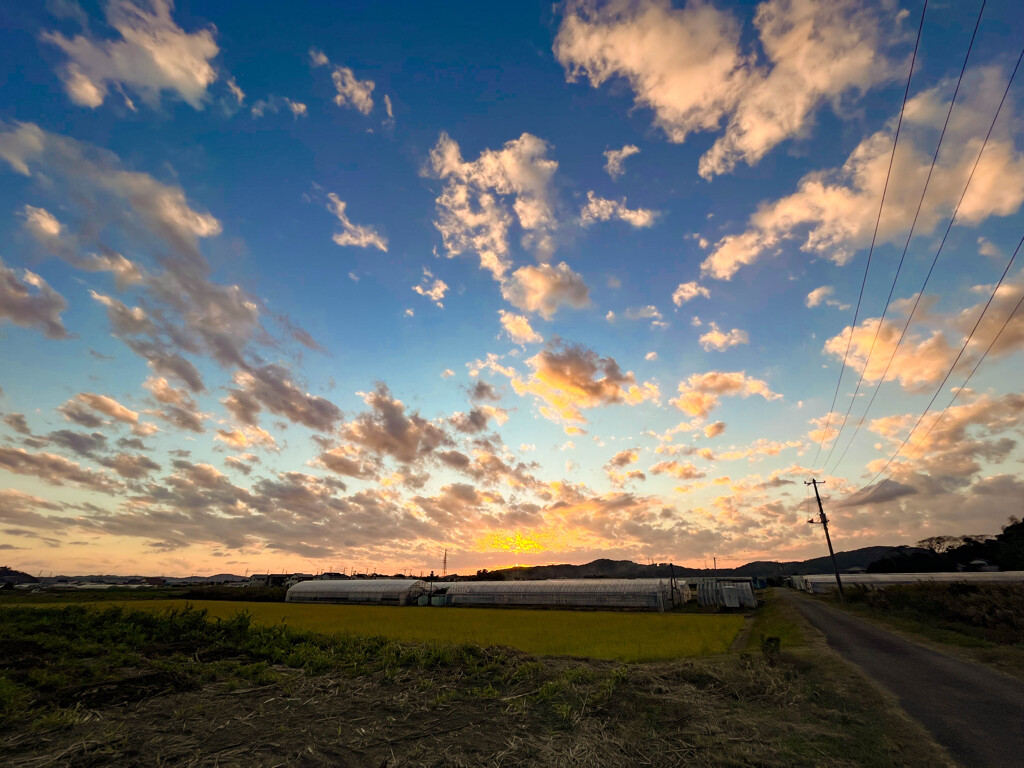 今日の夕景