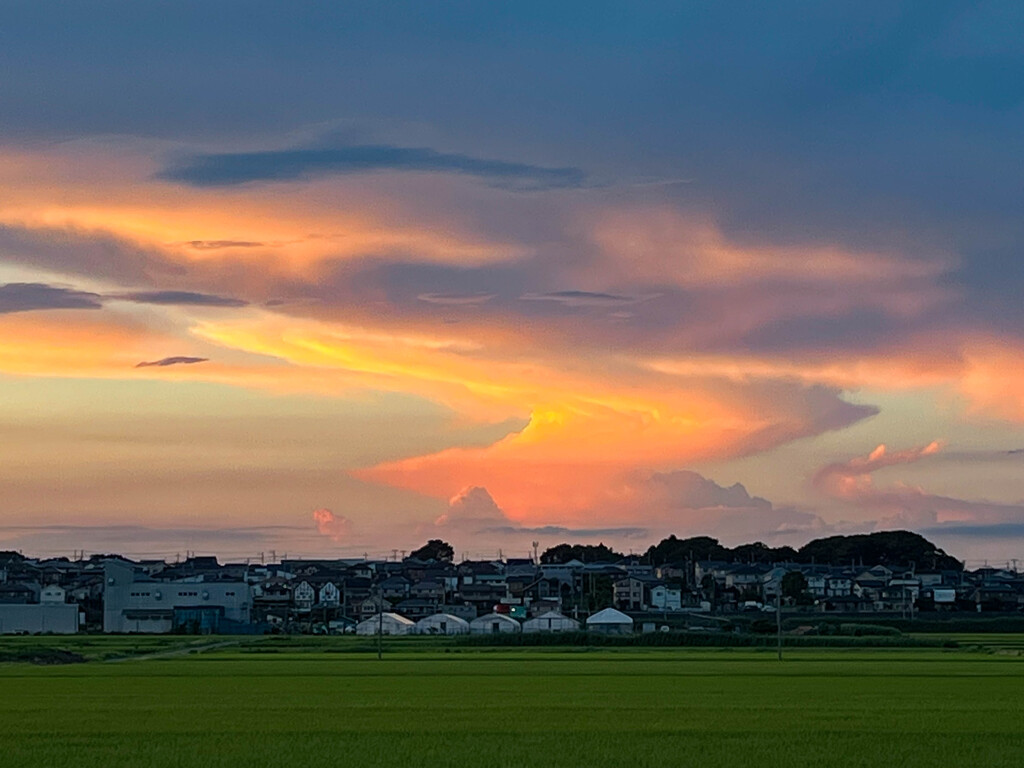 昨日の夕景１