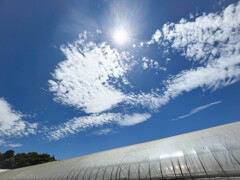 今日の空